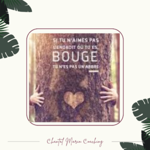 BOUGE! TU N’ES PAS UN ARBRE